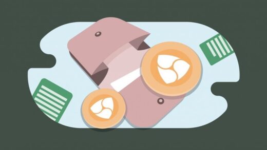 best NEM wallets