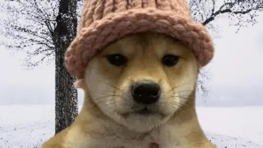 Dogwifhat (WIF)